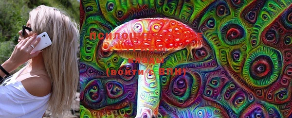 ПСИЛОЦИБИНОВЫЕ ГРИБЫ Кулебаки