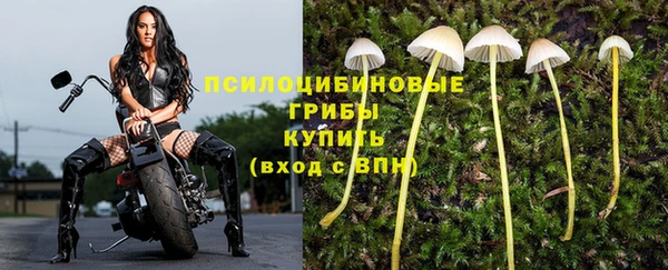 ПСИЛОЦИБИНОВЫЕ ГРИБЫ Кулебаки
