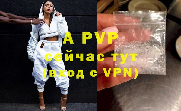 ПСИЛОЦИБИНОВЫЕ ГРИБЫ Кулебаки