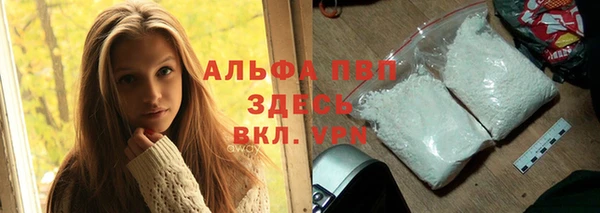 ПСИЛОЦИБИНОВЫЕ ГРИБЫ Кулебаки